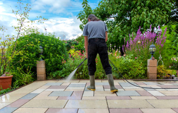  North Valley, NM Pressure Washing Pros