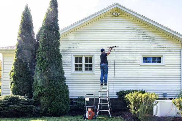 Best Sidewalk and Walkway Cleaning  in North Valley, NM